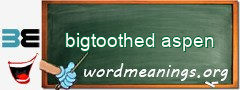 WordMeaning blackboard for bigtoothed aspen